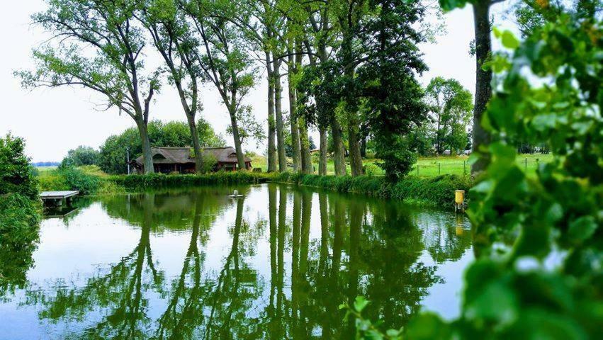 Hotel&Spa Dwor Droblin Lesna Podlaska Luaran gambar